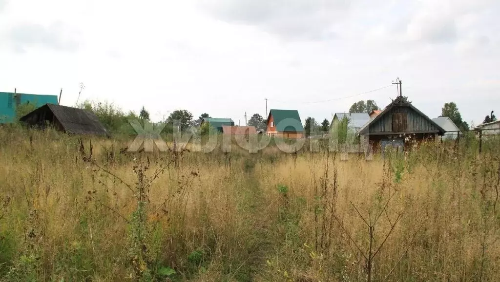 Участок в Новосибирск, садовое товарищество Пенсионер (11 м) - Фото 0