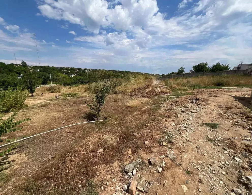 Участок в Волгоградская область, Волгоград Любитель СНТ,  (8.0 сот.) - Фото 2