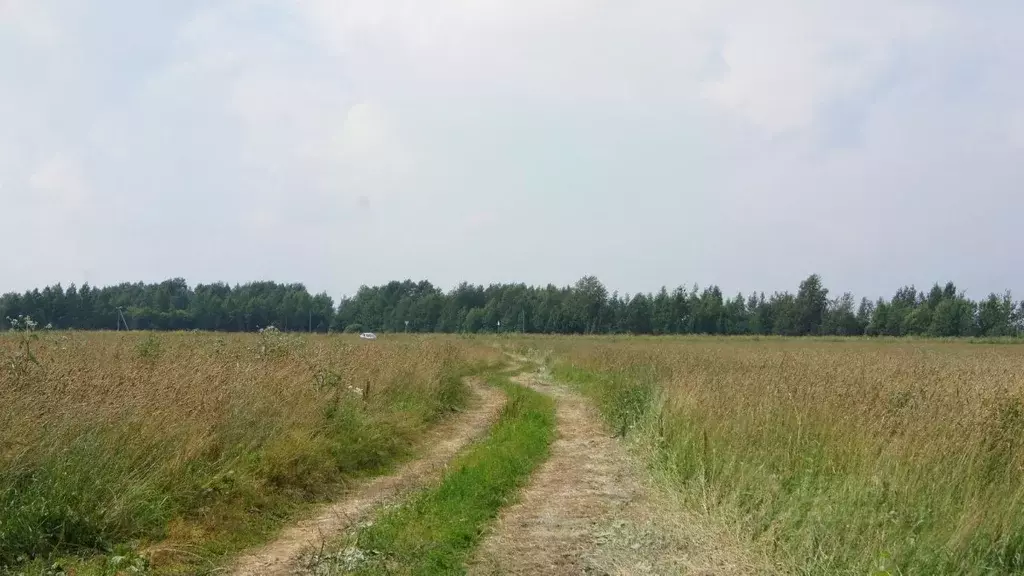 Участок в Московская область, Клин городской округ, Чистые Пруды дп  ... - Фото 1