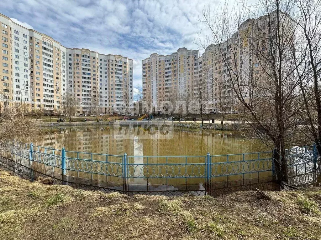 3-к кв. Московская область, Щелково Центральная ул., 96к2 (83.9 м) - Фото 1