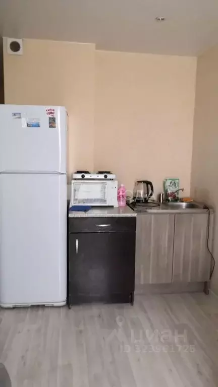 1-к кв. Новосибирская область, Новосибирск ул. Виктора Уса, 13 (22.0 ... - Фото 1