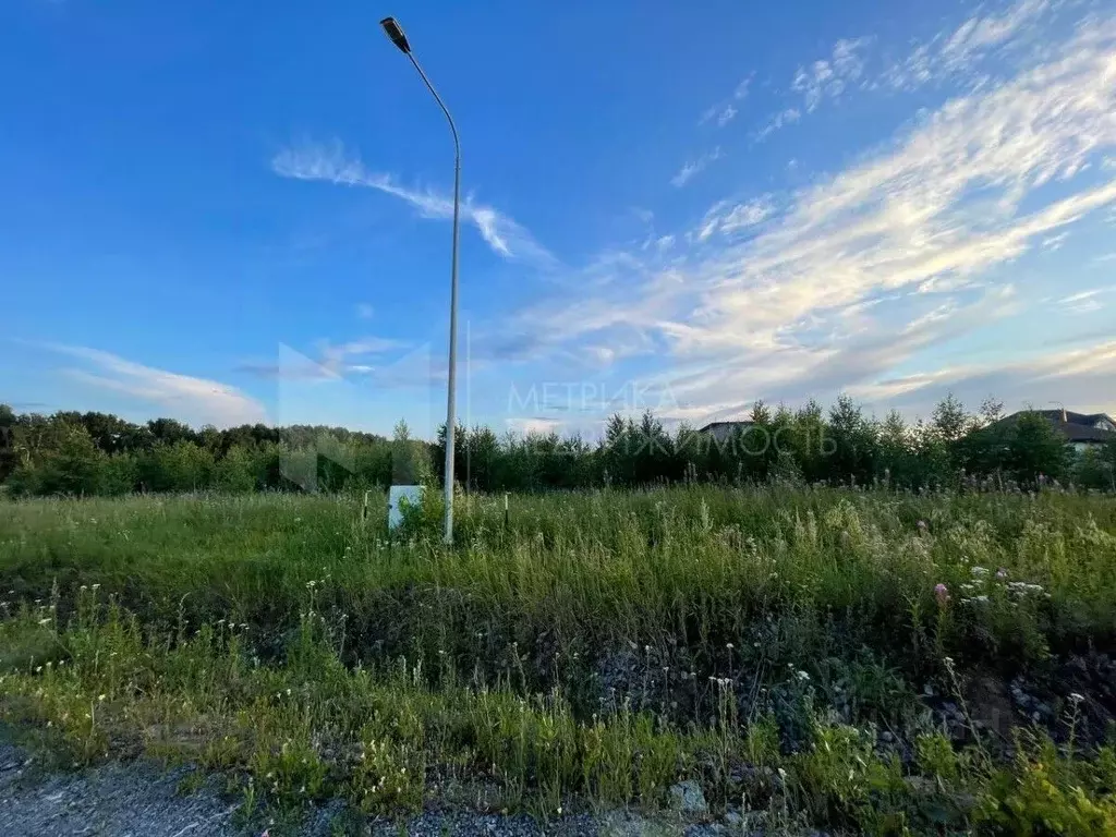 Участок в Тюменская область, Тюменский район, Онегин кп  (8.0 сот.) - Фото 1