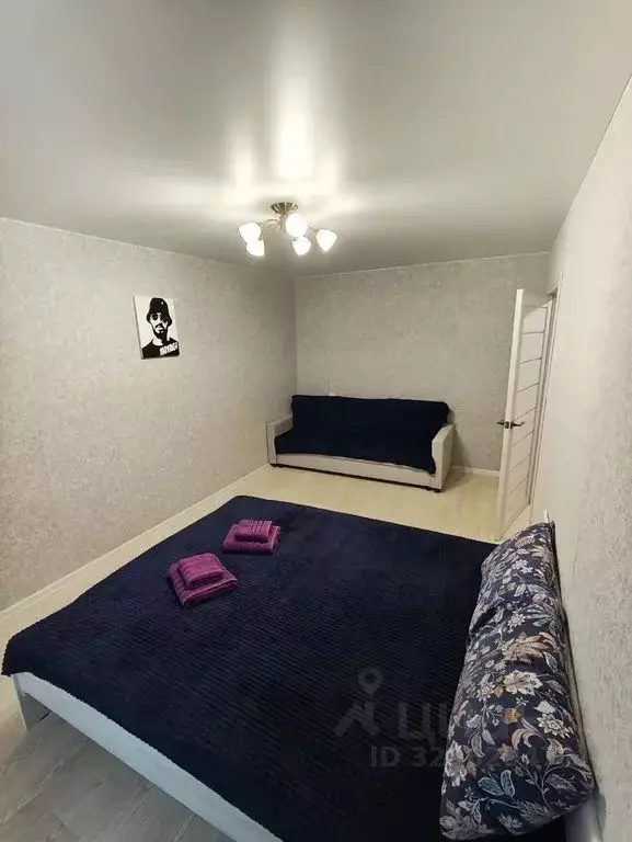 1-к кв. Псковская область, Псков Бастионная ул., 21 (30.0 м) - Фото 1
