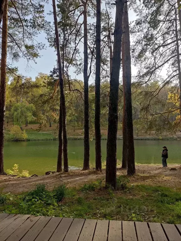 2-к кв. Татарстан, Казань ул. Солидарности, 30 (45.0 м) - Фото 1