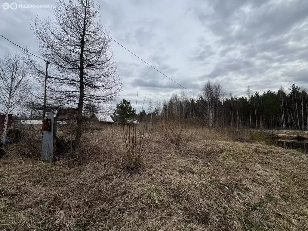 Участок в Екатеринбург, коллективный сад Юбилейный-2 (11 м) - Фото 1