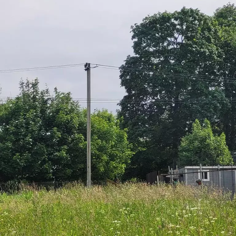 Участок в Московская область, Пушкинский городской округ, д. Нагорное ... - Фото 1