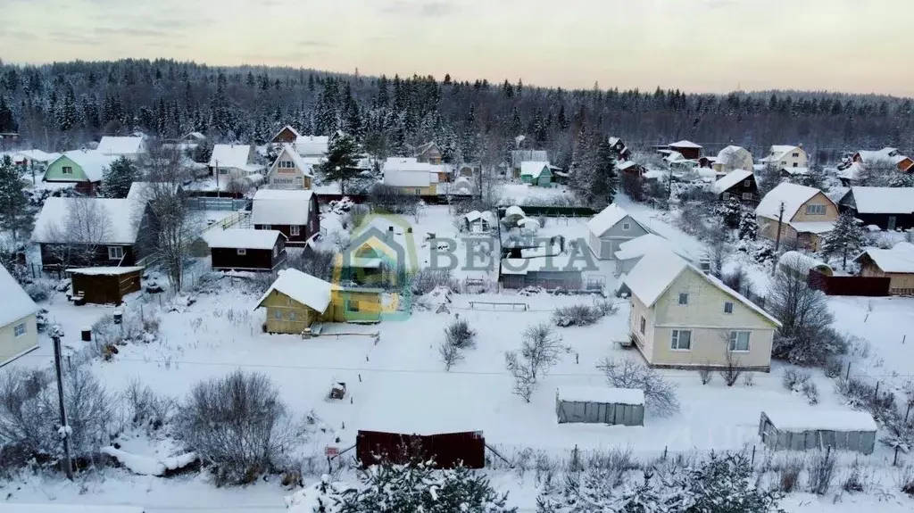 Дом в Ленинградская область, Выборгский район, Первомайское с/пос, ... - Фото 2