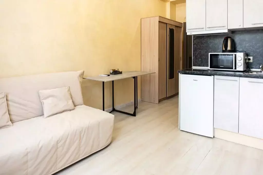 1-к кв. Краснодарский край, Сочи ул. Чекменева, 18 (16.0 м) - Фото 0