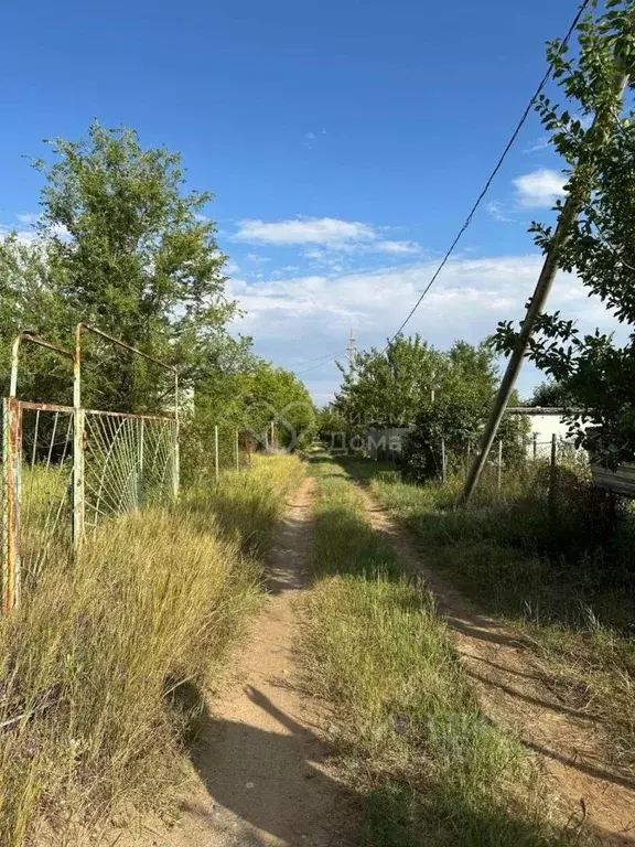 Дом в Волгоградская область, Волгоград Ивушка СНТ, ул. Абрикосовая (25 ... - Фото 1