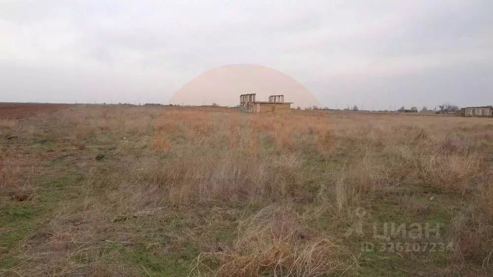 Участок в Крым, Сакский район, Новофедоровка пгт ул. Арсенальная (50.0 ... - Фото 2