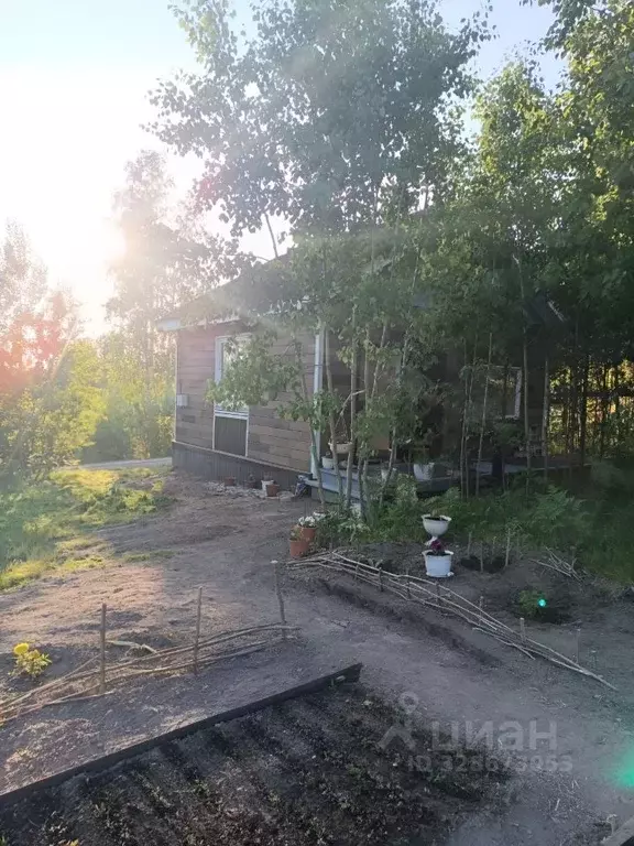 Дом в Иркутская область, Иркутский муниципальный округ, Статистик-2 ... - Фото 2