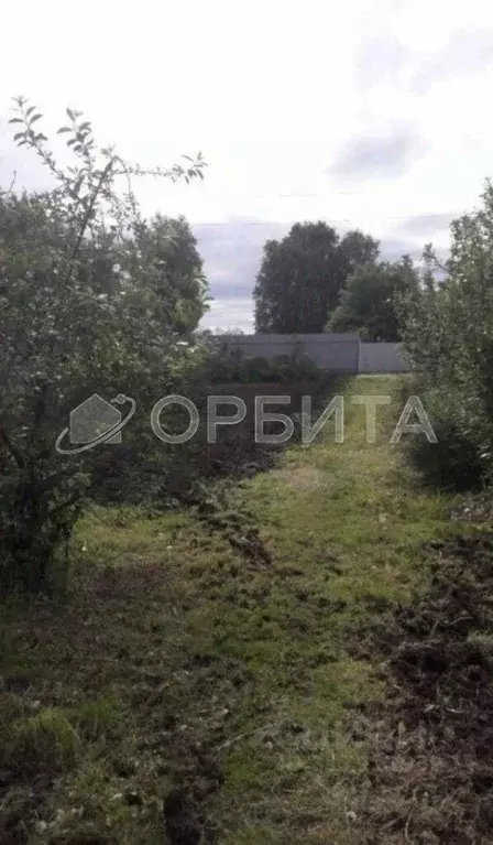 Участок в Тюменская область, Нижнетавдинский район, Ромашка СНТ ул. ... - Фото 1