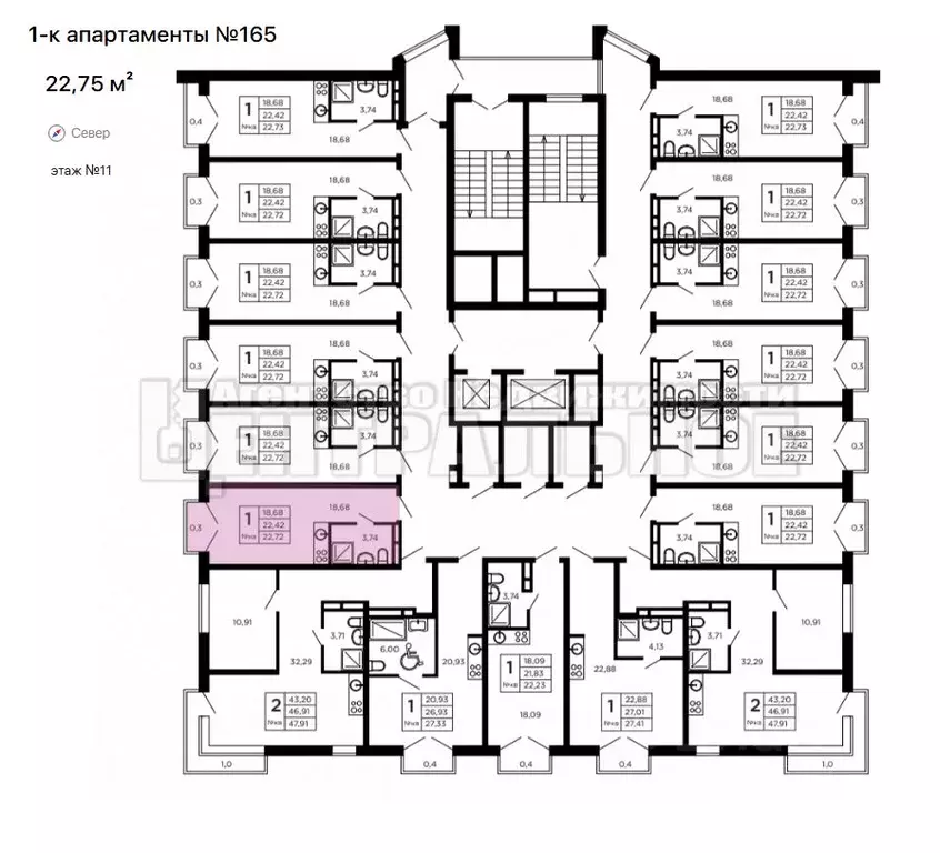 Студия Смоленская область, Смоленск проезд Маршала Конева, 32 (22.75 ... - Фото 2