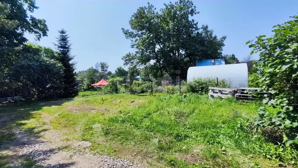 Участок в Хабаровский край, Хабаровский район, Водник СНТ  (12.37 ... - Фото 2