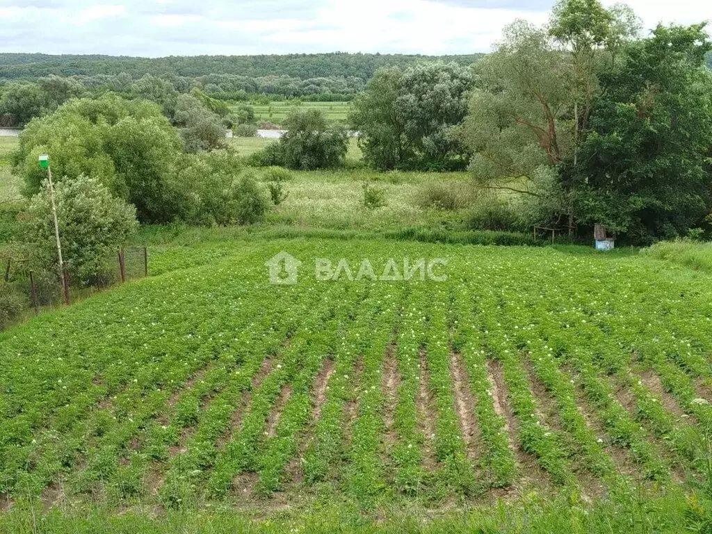 Участок в село Васильево, Пойменная улица (10 м) - Фото 0
