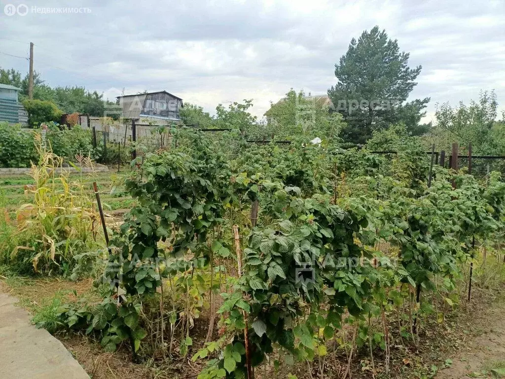 Дом в Городищенский район, Ерзовское городское поселение, СНТ ... - Фото 2