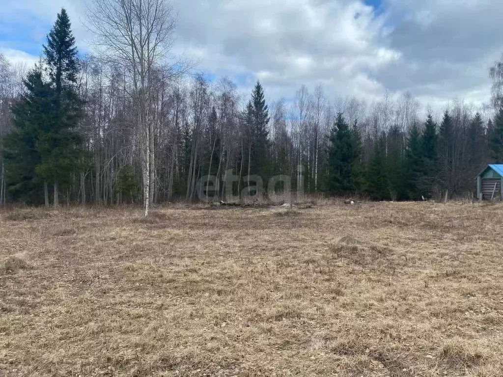 Участок в Вологодская область, д. Дуплино (Старосельский сельсовет)  ... - Фото 2