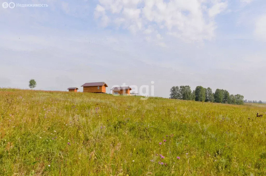 Участок в Новосибирская область, Бердск (7150.2 м) - Фото 0