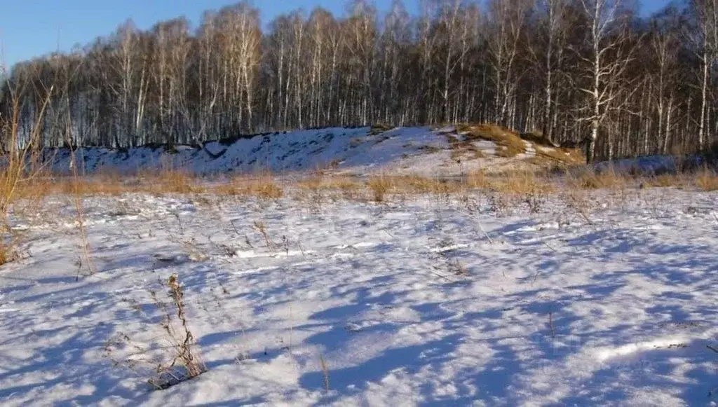 Участок в Татарстан, Лаишевский район, с. Среднее Девятово, ... - Фото 1