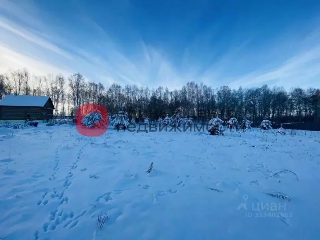Участок в Тюменская область, Тюменский район, с. Каменка Ирбитская ... - Фото 1