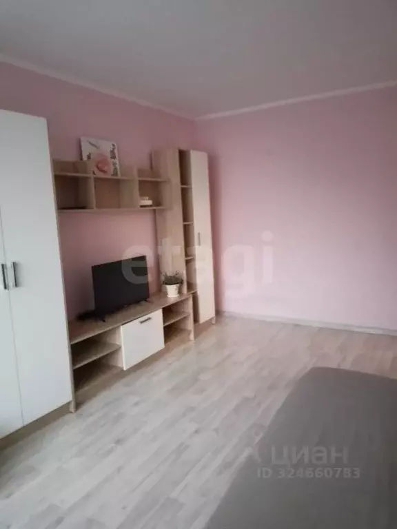 2-к кв. Свердловская область, Екатеринбург ул. Белинского, 220к9 (43.5 ... - Фото 2