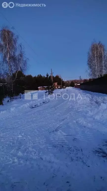 Участок в Ордынский район, СНТ Локомотив Ордынский (12 м) - Фото 2