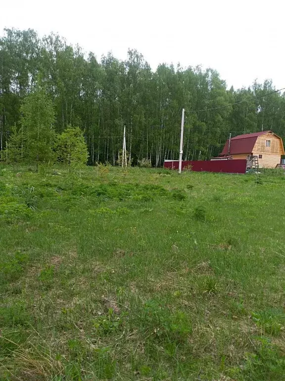 Участок в Московская область, городской округ Ступино, СНТ Язовка (8 ... - Фото 0