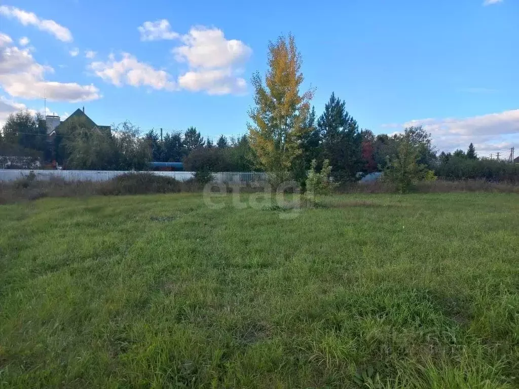 Участок в Новосибирская область, Ордынский район, с. Красный Яр ул. ... - Фото 0