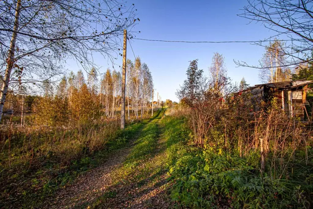 Участок в Новосибирская область, Новосибирский район, Раздольненский ... - Фото 1