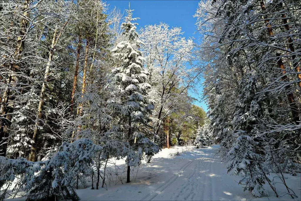 Дом в посёлок Гагарский, загородный комплекс Лайф, 3-я Парковая улица ... - Фото 1