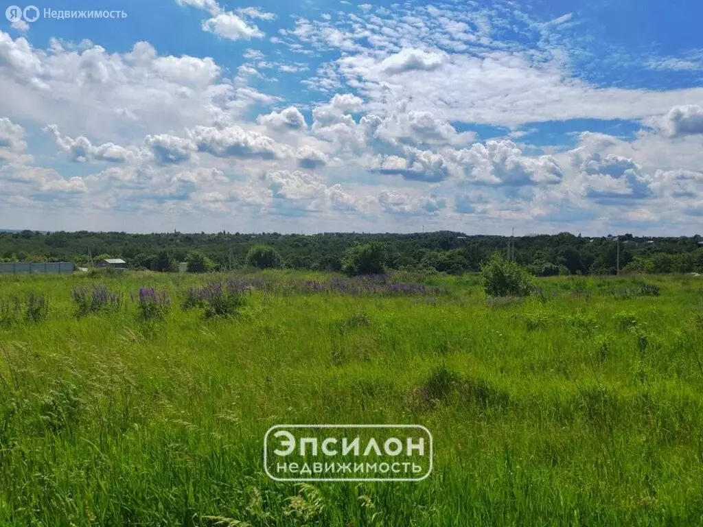 Участок в Пашковский сельсовет, деревня Овсянниково (5 м) - Фото 2