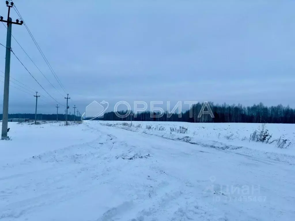 Участок в Тюменская область, Тюменский район, с. Горьковка Сибирская ... - Фото 1