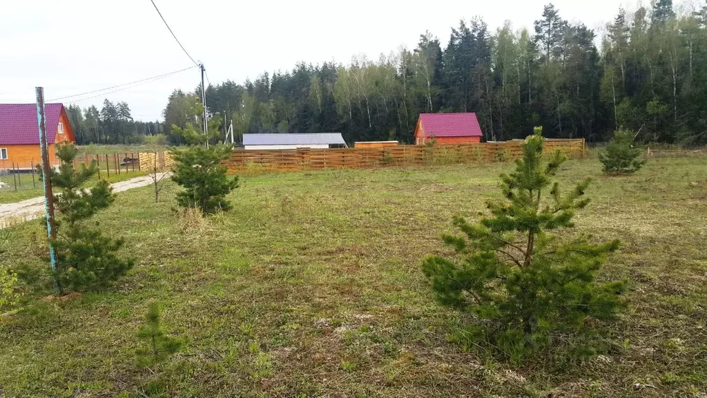 Участок в Владимирская область, Киржачский район, д. Трутнево  (10.0 ... - Фото 0