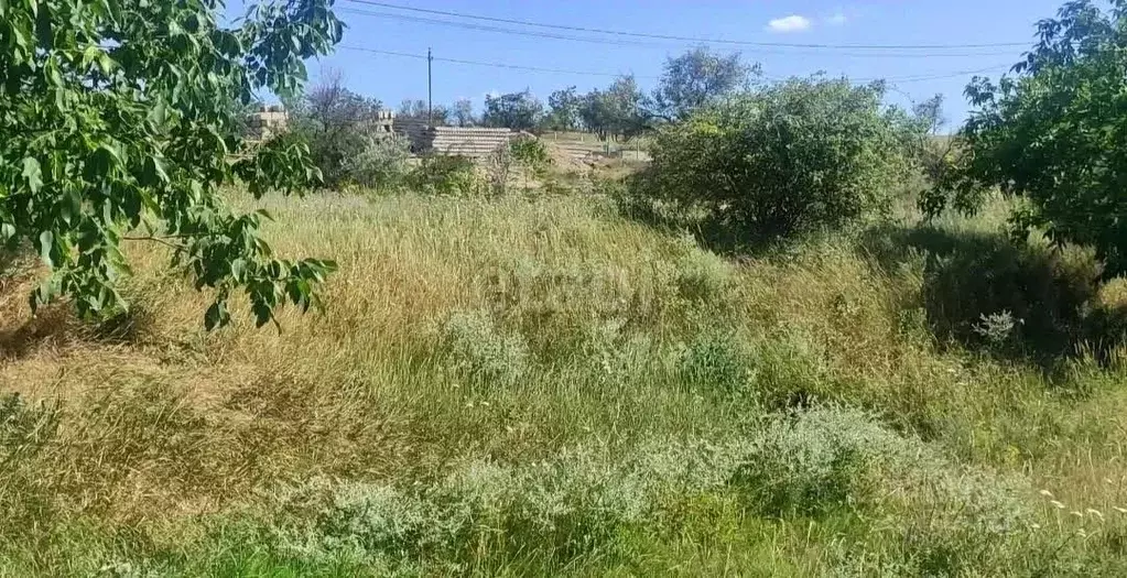 Участок в Крым, Кировский район, Первомайское с/пос, с. Первомайское, ... - Фото 1