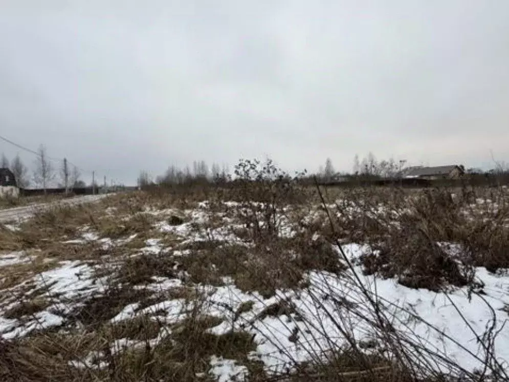 Участок в Московская область, Воскресенск городской округ, д. ... - Фото 1