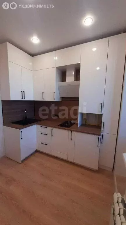 1-комнатная квартира: село Семёновка, Молодёжная улица, 15Б (27 м) - Фото 2