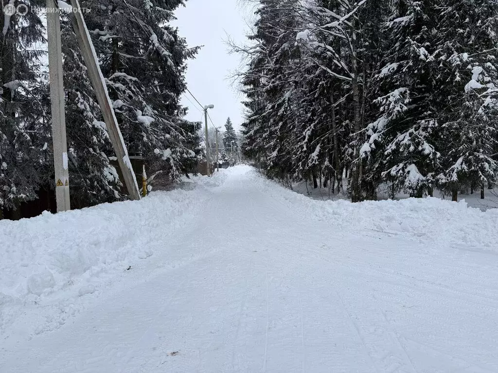 Участок в Владимирская область, Александровский муниципальный округ, ... - Фото 1