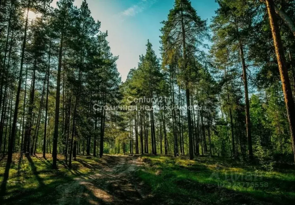 Участок в Москва д. Кривошеино, ул. Ключевая, 2 (12.0 сот.) - Фото 1