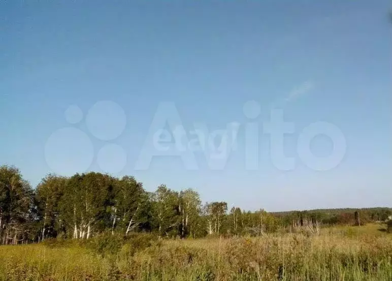 Участок 6 га (СНТ, ДНП) - Фото 1