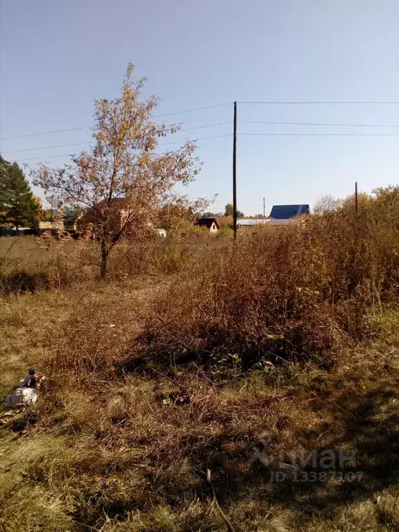 Участок в Алтайский край, Первомайский район, с. Повалиха Советская ... - Фото 1