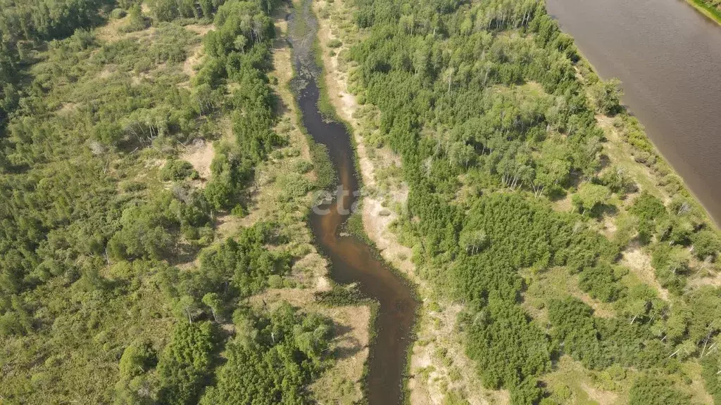 Участок в Тюменская область, Тюменский муниципальный округ, д. Речкина ... - Фото 0