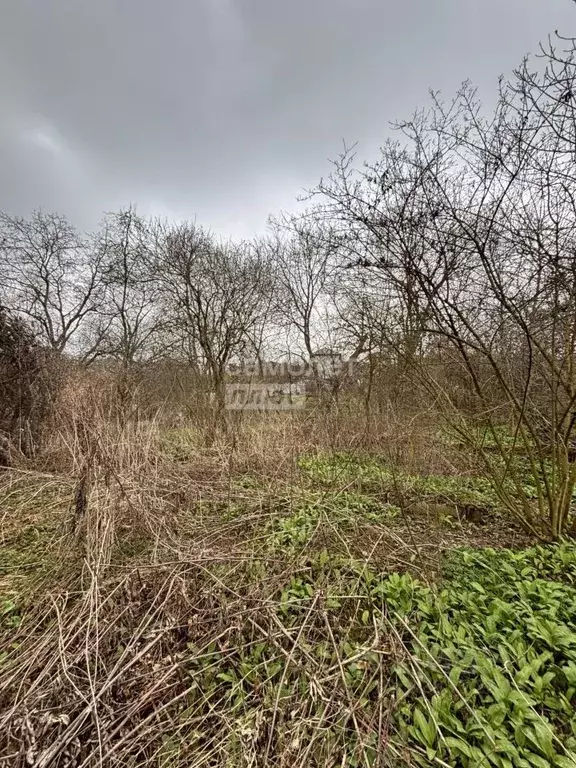 Участок в Кабардино-Балкария, Нальчик Горное СТ, 29 (7.0 сот.) - Фото 2