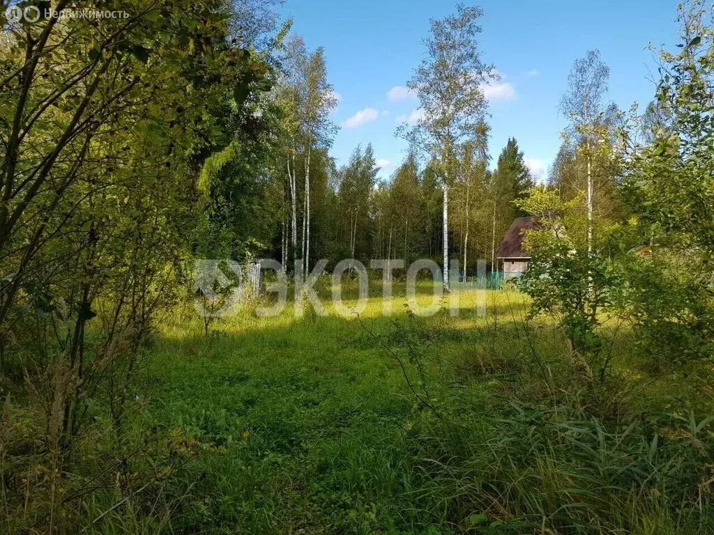 Участок в Кусинское сельское поселение, садоводческое товарищество ... - Фото 2