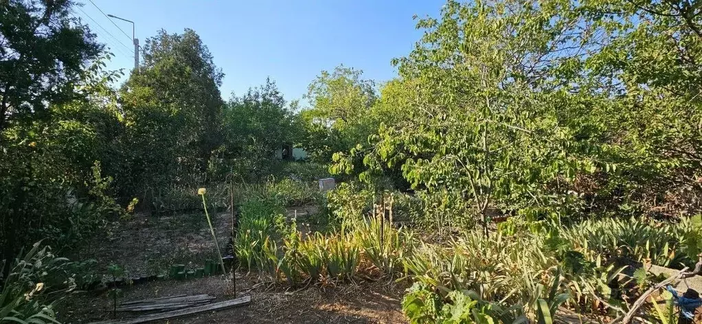 Участок в Севастополь Ветеран садоводческое товарищество, 240 (4.7 ... - Фото 1