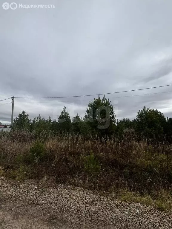 Участок в Тюменская область, село Нижняя Тавда (14.98 м) - Фото 1