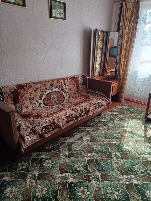 1-к кв. Московская область, Ногинск Богородский городской округ, ул. ... - Фото 2