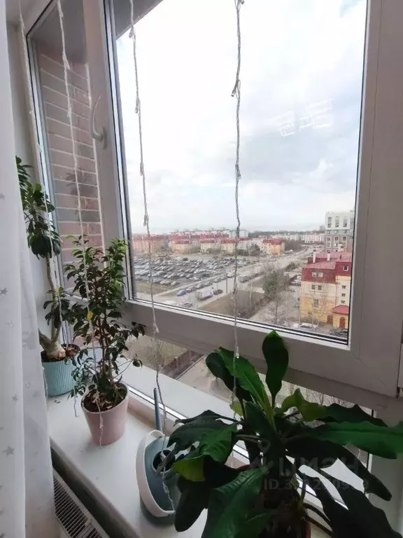 3-к кв. Санкт-Петербург просп. Ветеранов, 169к6 (80.0 м) - Фото 1