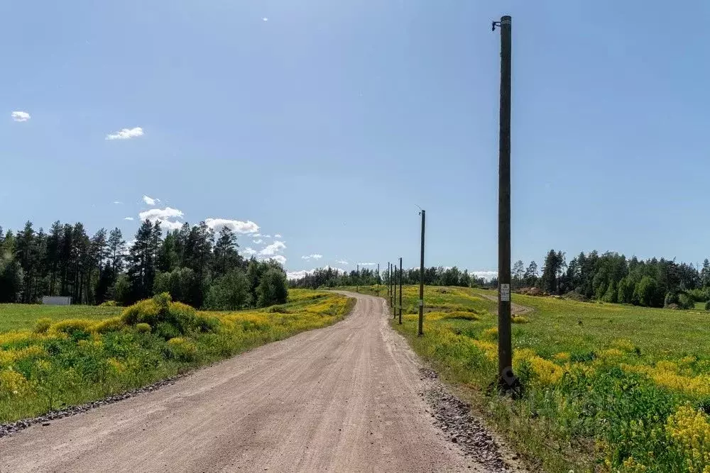 Участок в Ленинградская область, Приозерский район, пос. Сосново, ... - Фото 2