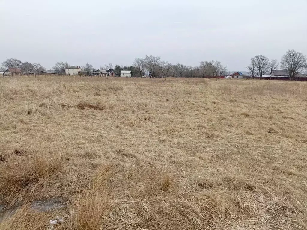 Участок в Приморский край, Уссурийский городской округ, с. Воздвиженка ... - Фото 0