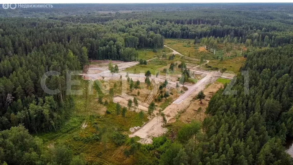 Участок в Приозерский район, Громовское сельское поселение, посёлок ... - Фото 2